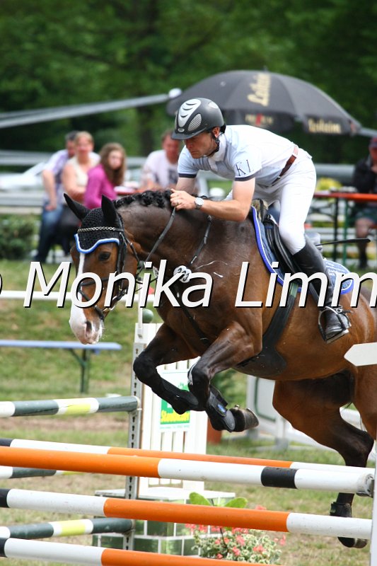 105M4531_Razz Fazz_Spring_M.JPG